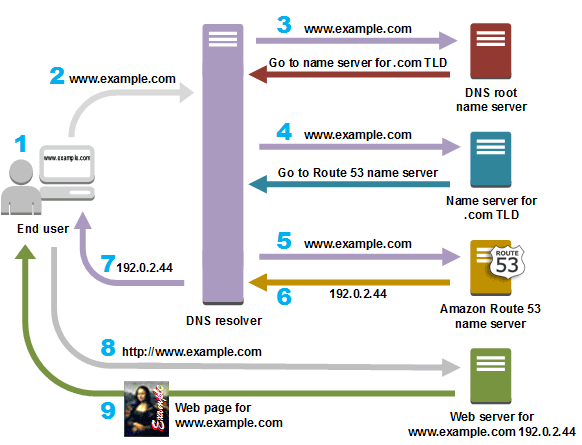 DNS 절차